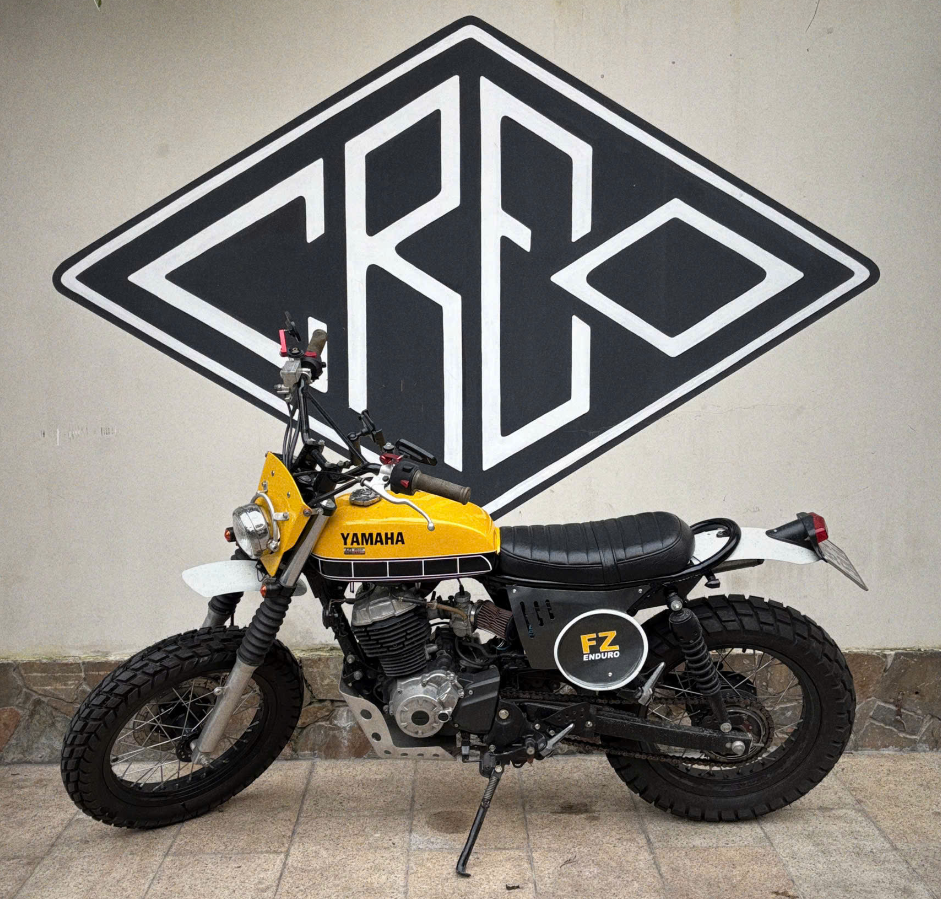 BUMBLEBEE (CUSTOM FZ150)